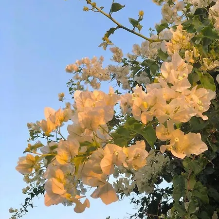 Gospodarstwo agroturystyczne Landolina